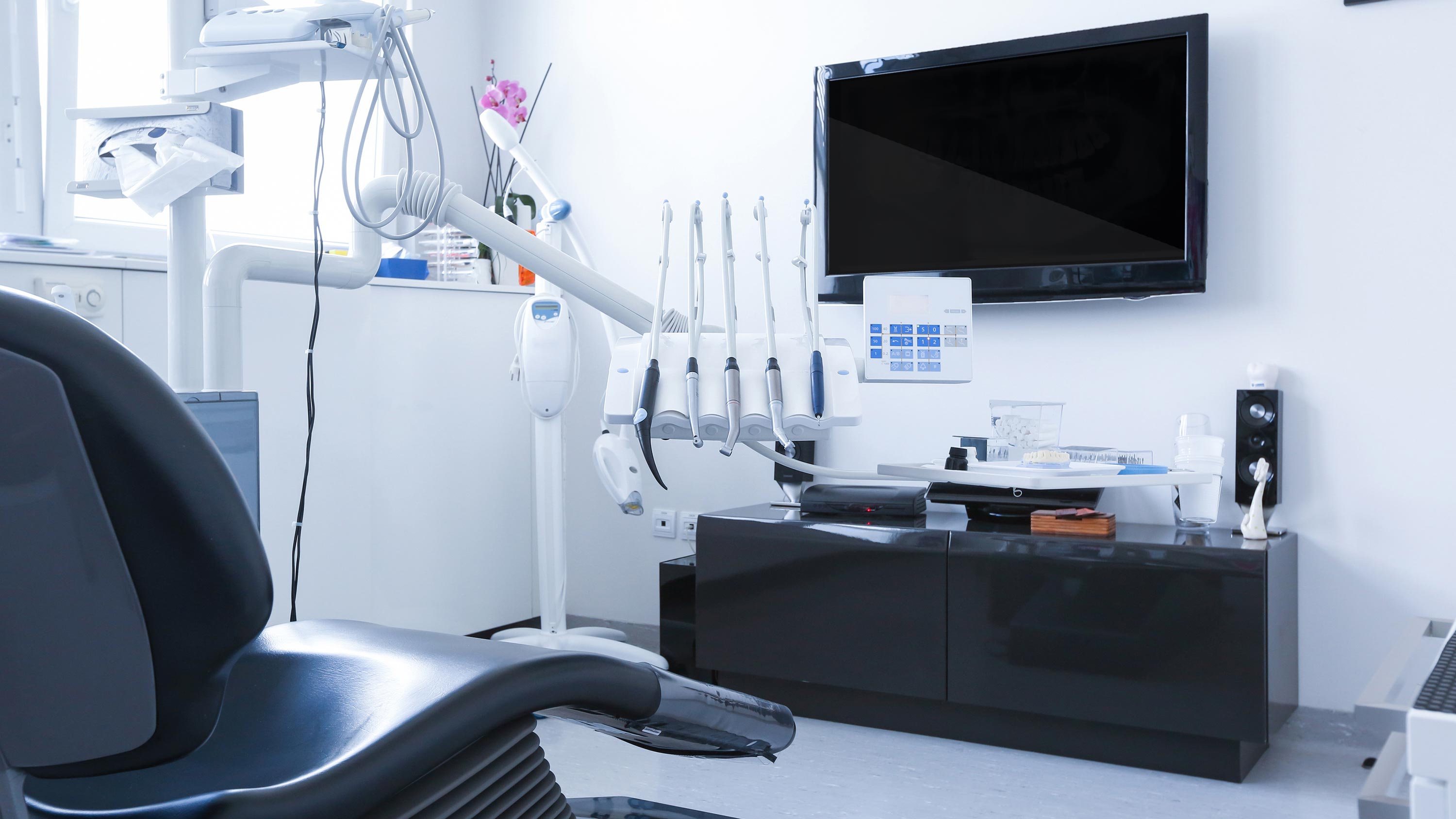 outdoor audio river forest, smart home technology, motorized treatments, commercial automation, company, presentation technology